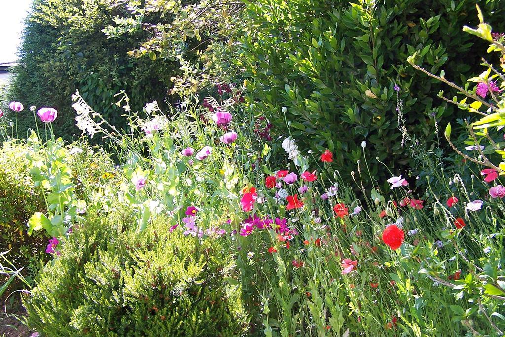 Anchorage Guest House Brixham Luaran gambar